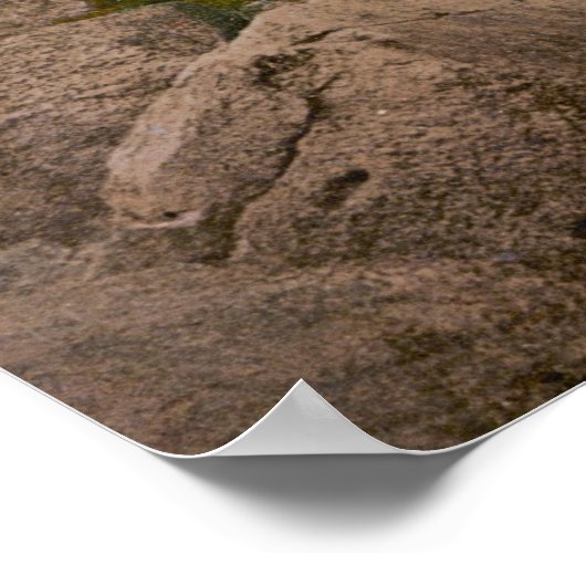 Tempel van de Zon in Baalbek Poster (Hoek)