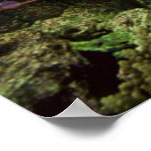 tempel van het koraalrif - Poster (Hoek)