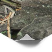 tempelangkor poster (Hoek)