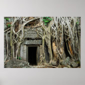 tempelangkor poster (Voorkant)