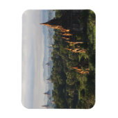 Tempels bij zonsopgang, Bagan, Myanmar Magneet (Verticaal)