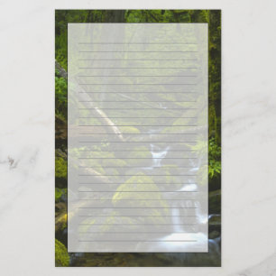 Temperate regenwoudstroom in Columbia Briefpapier