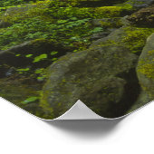 Temperate regenwoudstroom in Columbia Poster (Hoek)