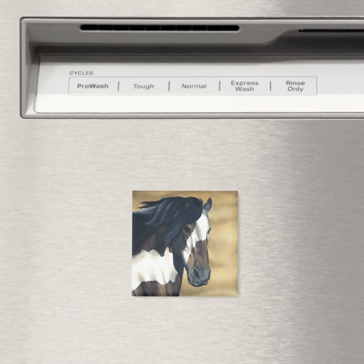 Temperatuur Magneet (Insitu (Vaatwasser))