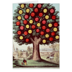 Temperatuurboom, 1872