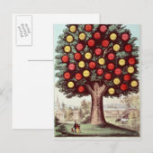 Temperatuurboom, 1872 briefkaart (Voorkant / Achterkant)