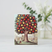 Temperatuurboom, 1872 briefkaart (Staand voorkant)