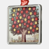 Temperatuurboom, 1872 metalen ornament (Links)