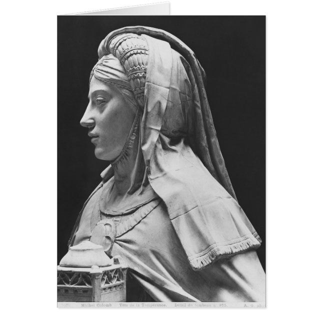 Temperatuurhoofd (Voorkant)