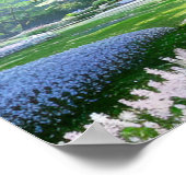 Temple amidst Natuur Splendor Poster (Hoek)