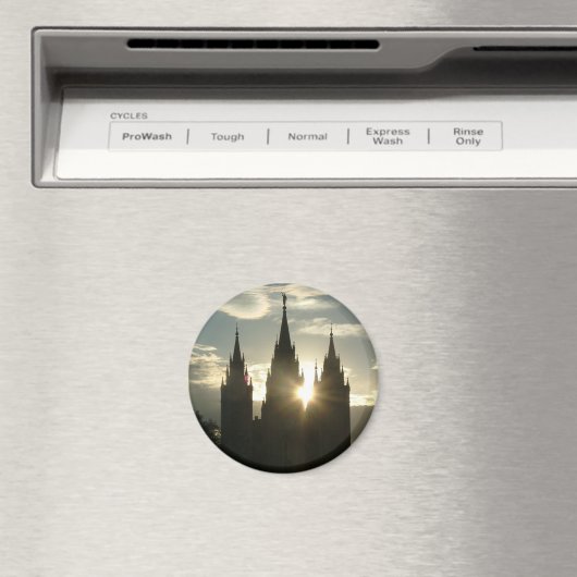 Temple Magneet (Insitu (Vaatwasser))