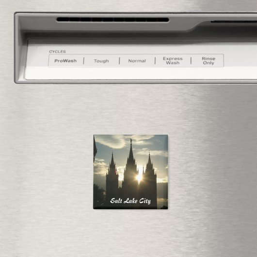 Temple Magneet (Insitu (Vaatwasser))