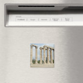 Temple of Zeus Magneet (Insitu (Vaatwasser))