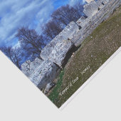 Temple of Zeus - Nemea Tissuepapier (Detail)