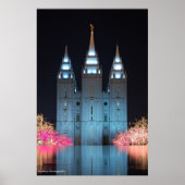 Temple Reflected Poster (Voorkant)