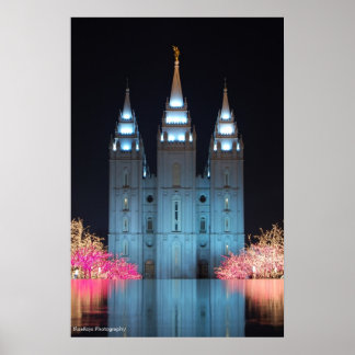 Temple Reflected Poster