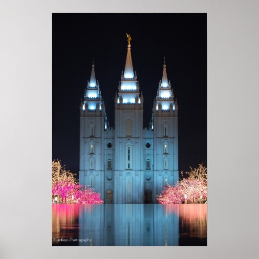 Temple Reflected Poster (Voorkant)