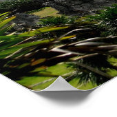 Temple, Tulum, Mexico Poster (Hoek)