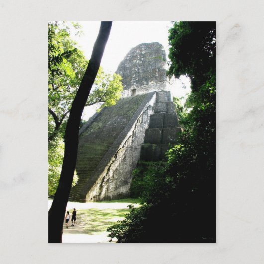 Temple V, Tikal, Guatemala Briefkaart (Voorkant)