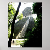 Temple V, Tikal, Guatemala Poster (Voorkant)