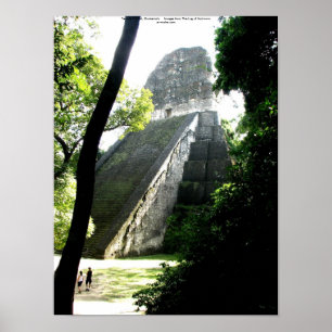 Temple V, Tikal, Guatemala Poster