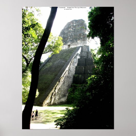 Temple V, Tikal, Guatemala Poster (Voorkant)