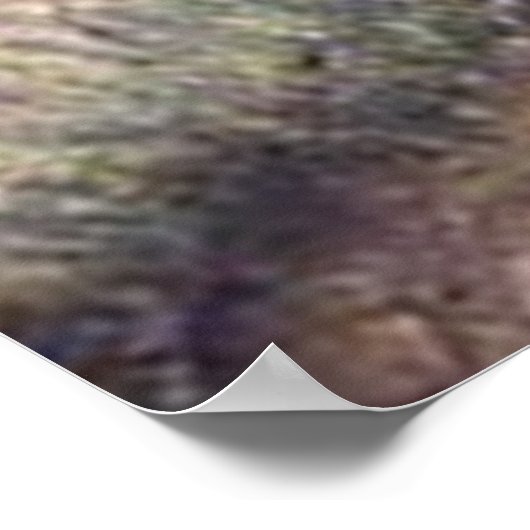 Templer vor einer Burg Poster (Hoek)