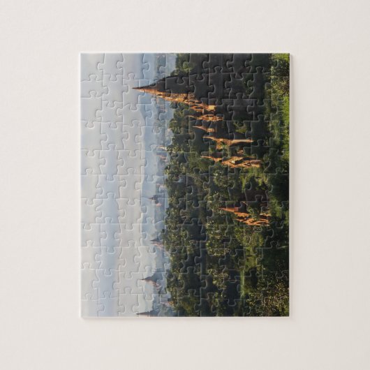 Temples at sunrise, Bagan, Myanmar Legpuzzel (Verticaal)