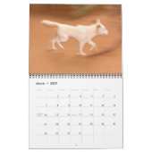 Temples & Life in Cambodja Agenda Kalender (Mar 2027)