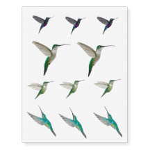 Temporary Hummingbird