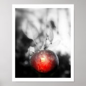 "Temptation" Apple-fotografie afdrukken Poster (Voorkant)