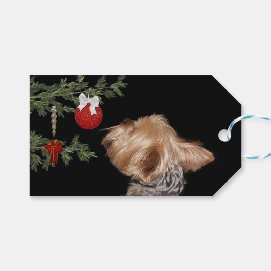 Tempted Yorkie Kerstmis Cadeaulabel (Voorkant (Horizontaal))