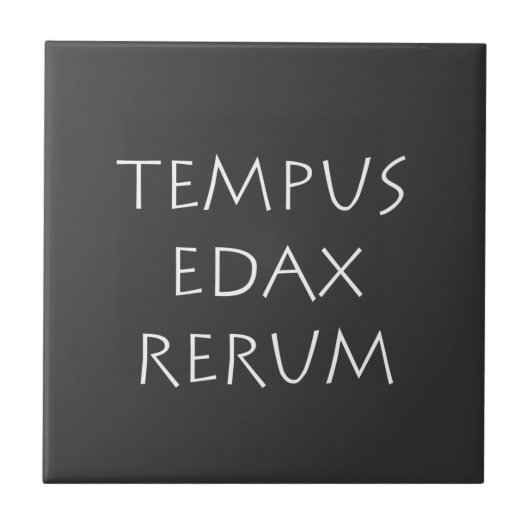 Tempus edax rerum tegeltje (Voorkant)