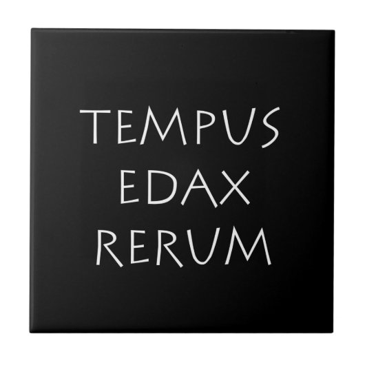 Tempus edax rerum tegeltje (Voorkant)