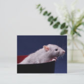 Tempy Bowl Briefkaart (Staand voorkant)