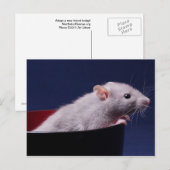 Tempy Bowl Briefkaart (Voorkant / Achterkant)