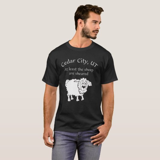 Ten minste de schaap is t-shirt (Voorkant volledig)