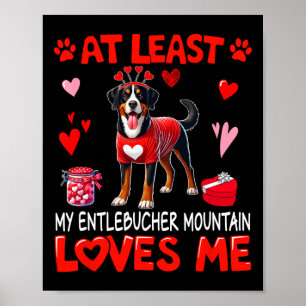 Ten minste mijn Entlebucher berg die van mij houdt Poster