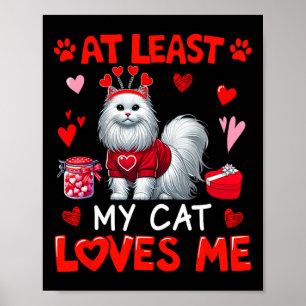 Ten minste mijn kat liefhebbende Valentijnsdag all Poster