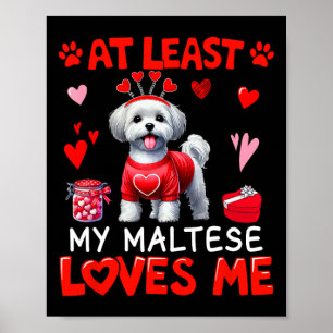 Ten minste mijn Maltese die van me houdt Valentijn Poster