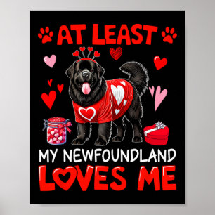 Ten minste mijn Newfoundlander die van me houdt Va Poster