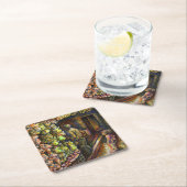 Ten noorden van het Circus Kartonnen Onderzetters (Insitu)