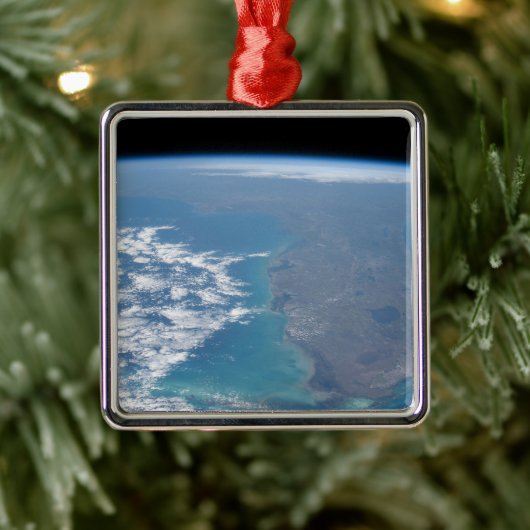 Ten noorden van het schiereiland Florida. Metalen Ornament (Boom)