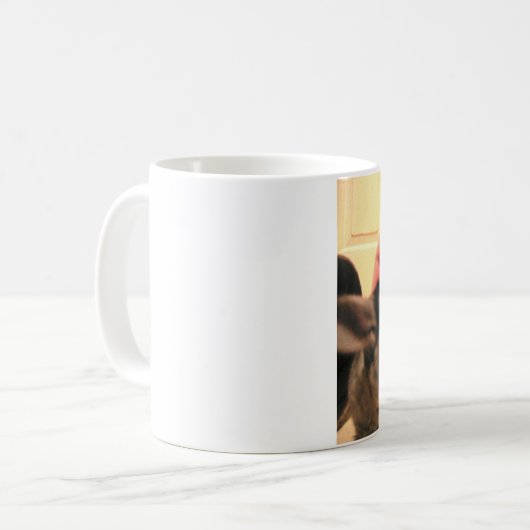 Ten slotte Mok Chili (rechts), Thuis Chinchillas (Voorkant links)