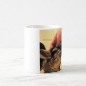 Ten slotte Mok Chili (rechts), Thuis Chinchillas (Center)