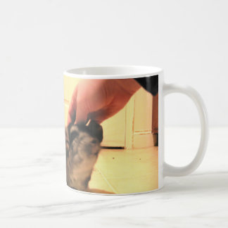 Ten slotte Mok Chili (rechts), Thuis Chinchillas