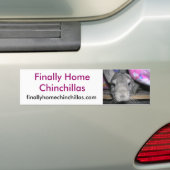 Ten slotte Thuis Chinchillas Bumpersticker, Esther Bumpersticker (Op auto)