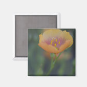 Ten zuiden van Devine Texas langs Interstate 35 Magneet (Voorkant / Achterkant)