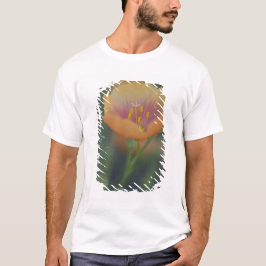 Ten zuiden van Devine Texas langs Interstate 35 T-shirt (Voorkant)