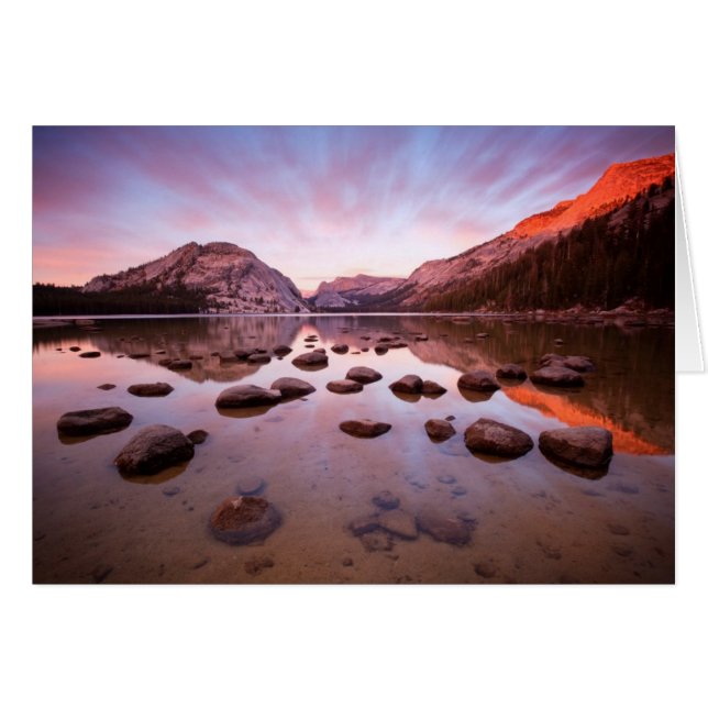 Tenaya Lake (Voorkant Horizontaal)